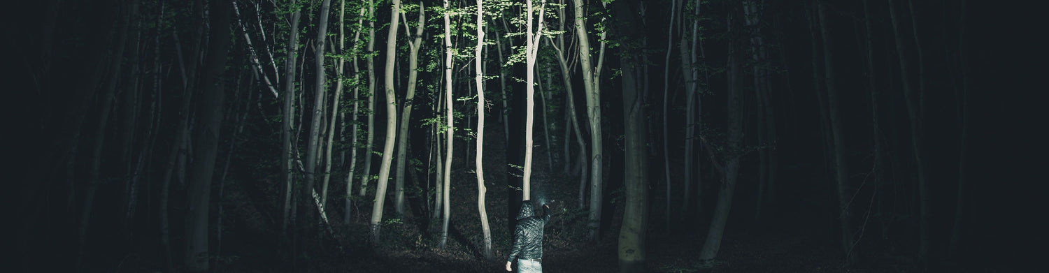 Torches