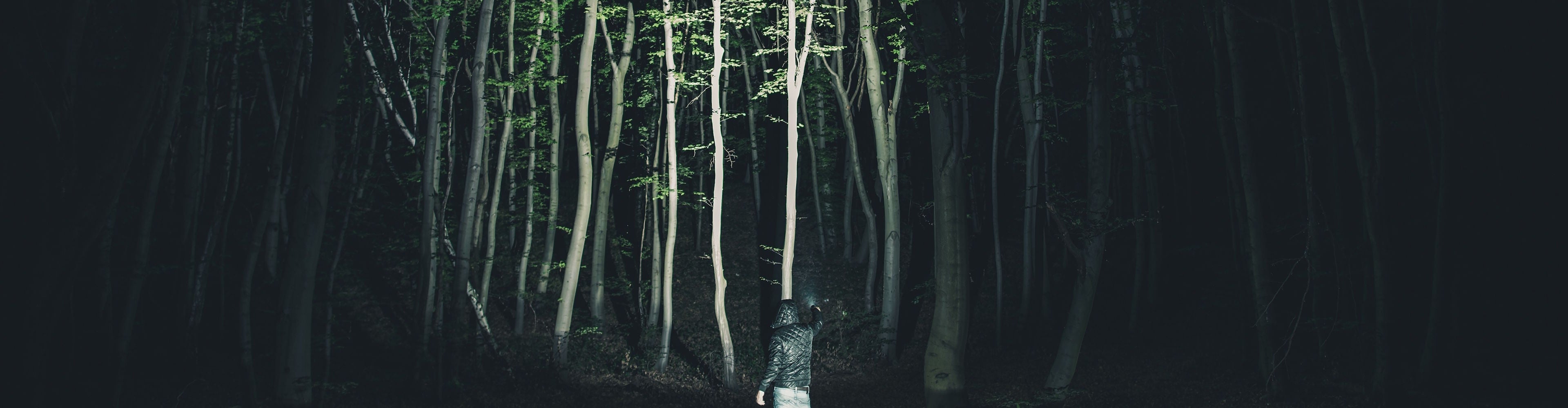 Torches