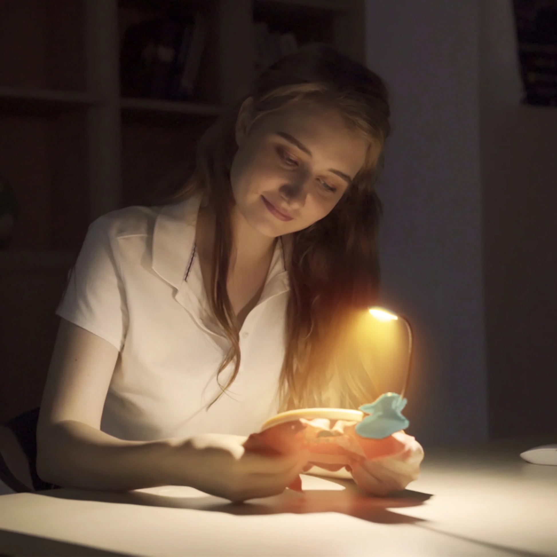 Glocusent Willow Head Book Light - Refraction Lighting