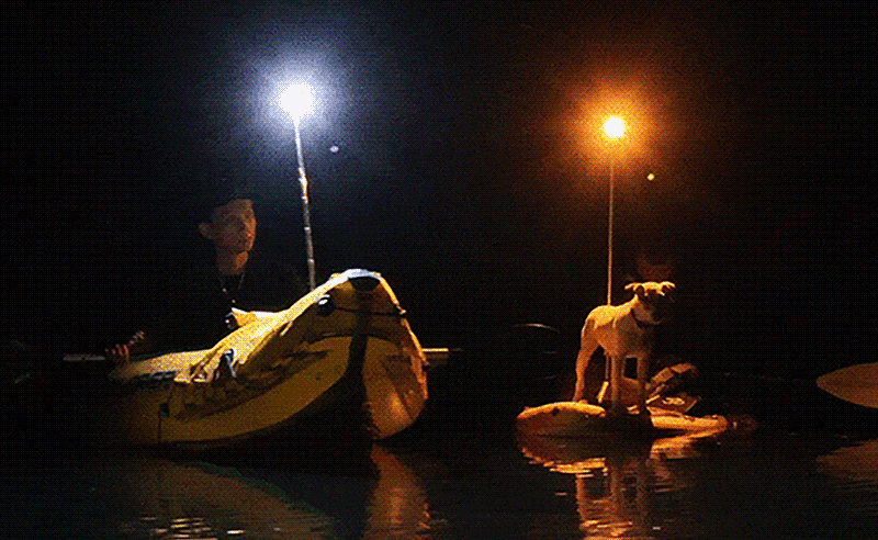 ouTask TD2 Telescopic Lantern